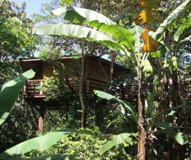 TREEHOUSE PILON PAVONES