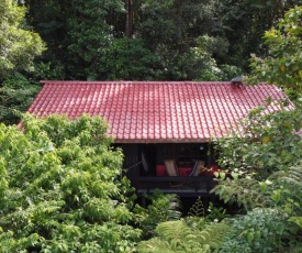Yatama Rainforest Ecolodge