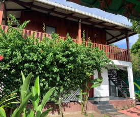 BUDDA HOME