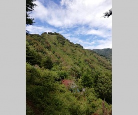 Cabaña El Descanso - Cerro de la Muerte