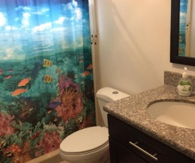 Cabo Velas Estates 50