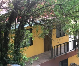 Cantos Del Bosque