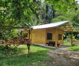 Caribbean R & R (Relax, Bird watching, Wild Life)