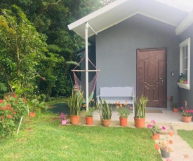 Casa Girasol