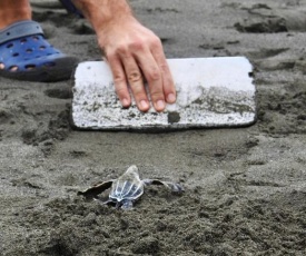 Casa Grande at Pacuare Reserve